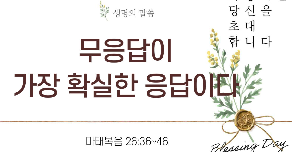 소식과 나눔｜11월 13일