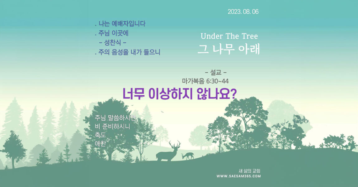 주보｜8월 6일 – 너무 이상하지 않나요?