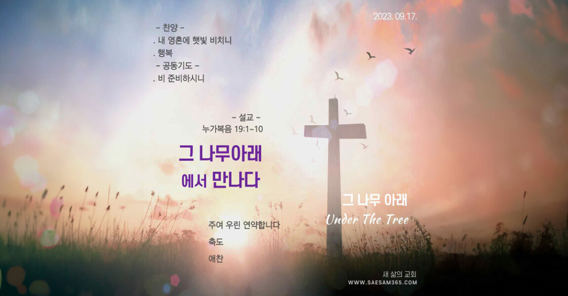 주보｜9월 17일 – 그 나무 아래에서 만나다