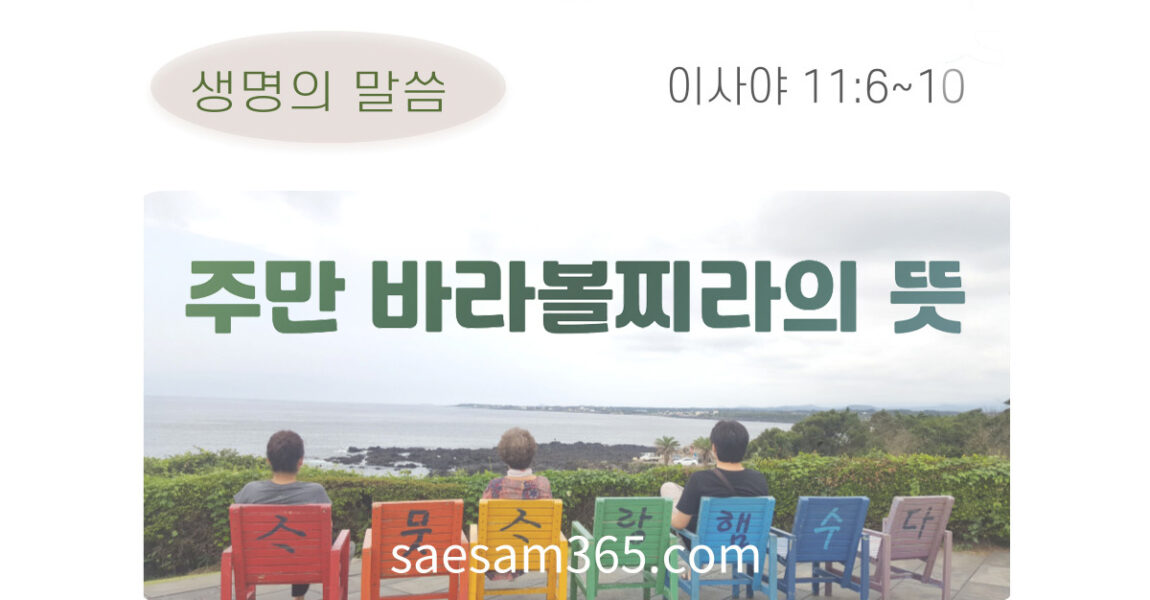 주보｜8월 18일 – 주만 바라볼찌라의 뜻