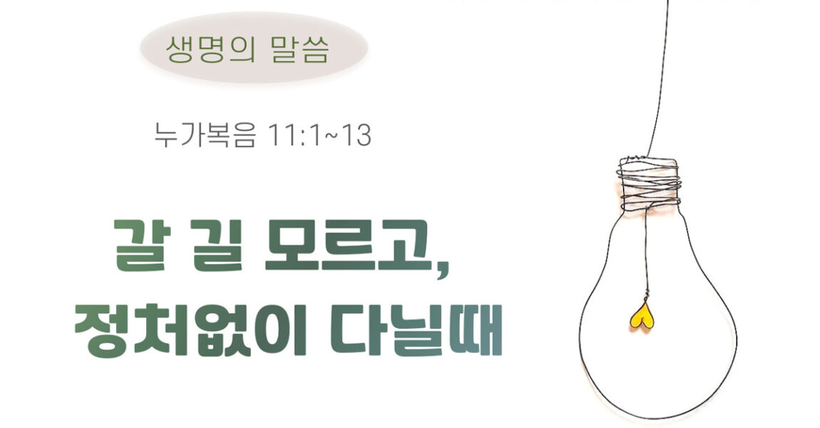 주보｜8월 25일 – 갈 길 모르고, 정처없이 다닐때